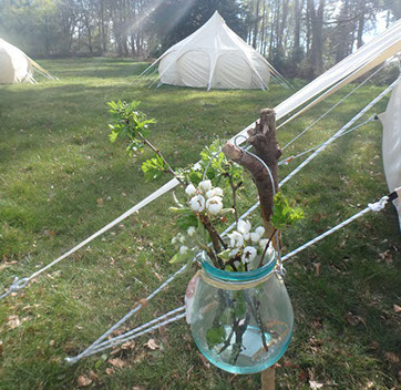image of wild revive lotus belle tent in field
